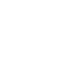 net vision magazine